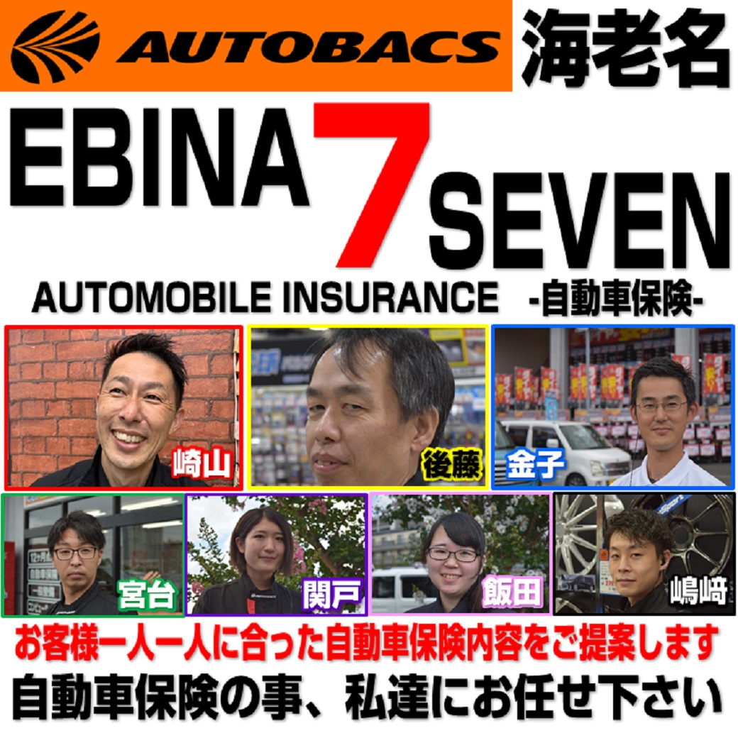 ebina7-insurance
